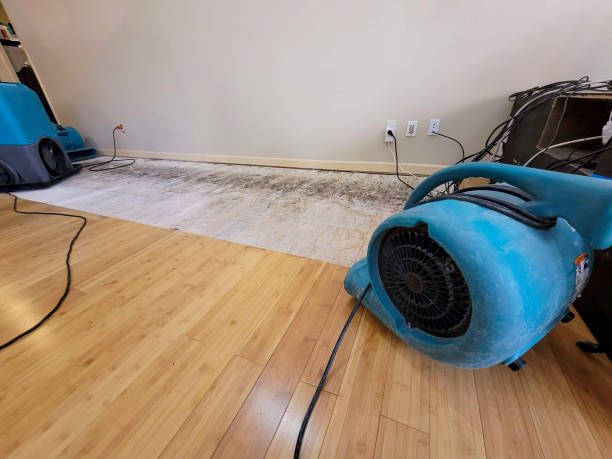Professional Basement Flood Cleanup technician working in Ridge, NY